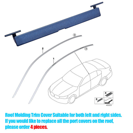 For BMW Roof Rack Port Cover for 5 Series G30/G31,6' GT G32,7' G12, Roof Rack Molding Port Cap for BMW 530 540 640 740, 51137443691 51137443692(Phytonic Blue) | Jaronx